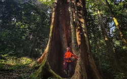 Ninh Bình phát triển quần thể du lịch xanh được làm bằng cây tre "khủng" nhất Đông Nam Á