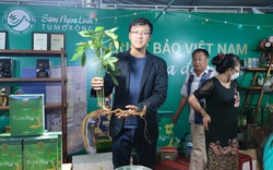 Củ sâm Ngọc Linh có tuổi thọ gần 60 năm ở Kon Tum vừa được bán với giá mấy trăm triệu?