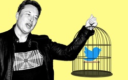 Elon Musk nói rằng muốn tự do ngôn luận trên Twitter, nhưng bằng chứng đi ngược bị phát hiện