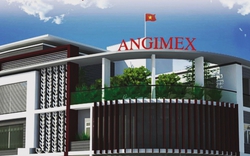 Angimex (AGM) báo lãi gấp 4 lần trong quý đầu năm