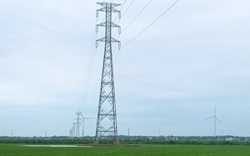 Vụ thi công đường dây 220kV không trả mặt bằng cho nông dân: Các bên cùng ngồi lại xử lý dứt điểm