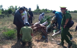 Ninh Thuận: Khởi tố, bắt tạm giam nhóm “lâm tặc” đánh nhân viên bảo vệ rừng nhập viện