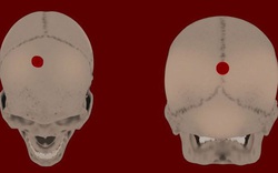 Hài cốt thiếu nữ tiết lộ thứ quyền lực rùng rợn của đế chế Inca