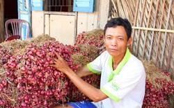 Việt Nam bán nhiều nhất một thứ củ cay xè, thơm nồng cho thị trường Đài Loan, 3 tháng thu 10 triệu USD