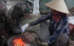 Bắc Giang: Đặc sản giòn rụm xuất hiện trên bàn nhậu giúp người dân ở một ngôi làng thu tiền triệu/ngày