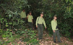 Quảng Nam: Giám đốc sở NNPTNT tỉnh nói nguyên nhân rừng bị giảm hơn 2.850ha