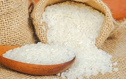 Giá lúa gạo đầu tuần ổn định