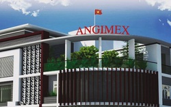 Angimex thành lập 2 công ty tổng vốn điều lệ 70 tỷ đồng