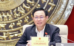“Dừng dự án điện hạt nhân Ninh Thuận là quyết sách đúng đắn của Trung ương”