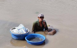 Lạ lùng nghề ngâm mình dưới nước càng ô nhiễm càng kiếm được nhiều tiền ở Sóc Trăng