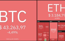 Giá Bitcoin hôm nay 7/4: Bitcoin giảm mạnh, thị trường biến động sau cuộc họp của FED
