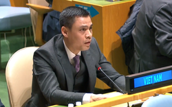Toàn văn phát biểu của Đại sứ Việt Nam Đặng Hoàng Giang tại phiên họp khẩn cấp của LHQ về Ukraine