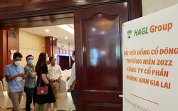 Ông Đoàn Nguyên Đức: Chứng khoán VPBank và quỹ Việt Cát muốn chi 1.700 tỷ mua cổ phiếu HAG
