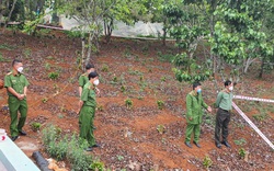 Vụ người phụ nữ bị chôn xác phi tang: Khởi tố, bắt tạm giam đối tượng Đoàn Thanh Trí 