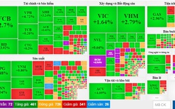 Sắc xanh tím áp đảo về cuối phiên, VN-Index đảo chiều tăng gần 24 điểm