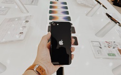 iPhone SE 2022 vừa ra mắt đã giảm giá tại Việt Nam