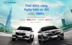 Chỉ còn 3 tuần cuối để nhận loạt ưu đãi và giảm 50% lệ phí trước bạ khi mua xe VinFast