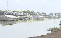 Nuôi cá đặc sản trên sông Sở Thượng ở Đồng Tháp mấy hôm nay nông dân lo ngay ngáy vì hiện tượng gì?