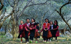Nậm Pồ: Ngày Hội Văn hóa dân tộc Mông lần thứ I - 2022

