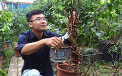 Trai Hà Nội có thu nhập cao từ khu vườn trồng cây độc lạ, quả bé tí tròn vo, quả khổng lồ dài đuồn đuỗn