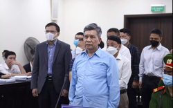 Cựu Chủ tịch VEAM Trần Ngọc Hà phủ nhận gây thất thoát hàng trăm tỷ