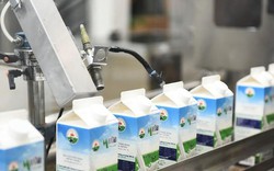 Mộc Châu Milk (MCM) chốt quyền chia cổ tức còn lại năm 2021, tỷ lệ 15%