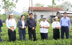 Hội Nông dân Hà Nội hỗ trợ phong trào xây dựng NTM, bảo vệ môi trường gắn với công tác kiểm tra, giám sát