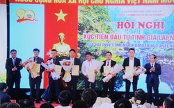 Gia Lai: Trao quyết định đầu tư cho 19 dự án với số vốn hơn 15.000 tỷ đồng