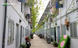 Mát mắt khu nhà trọ toàn cây xanh "có một không hai" tại Sài thành