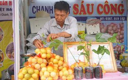 Chanh leo ngọt cả trăm nghìn đồng/kg vẫn 'cháy hàng'