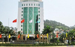 Tập đoàn Than - Khoáng sản Việt Nam lãi Quý I hơn 195 tỷ đồng, tăng 29%