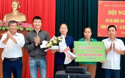 Ra mắt “Chi hội nông dân nghề nghiệp sản xuất Chả cá Chày” ở huyện Kiến Thụy của TP Hải Phòng