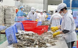 Nam Phi - thị trường đầy tiềm năng của thủy hải sản Việt Nam