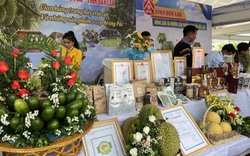 Đắk Lắk mang đến Festival trái cây và sản phẩm OCOP năm 2022 những sản phẩm, đặc sản nào?