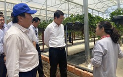 Đồng Nai và Lâm Đồng kết nối cùng phát triển nông nghiệp