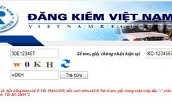 Hướng dẫn tra cứu phạt nguội mới nhất năm 2022 mà tài xế có thể dễ dàng thực hiện