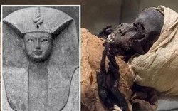 Giải mã gương mặt vặn vẹo, méo mó đáng sợ của pharaoh Ai Cập