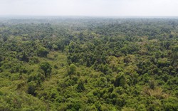 Đồng Nai: Nếu làm quốc lộ 13C xuyên rừng, Khu dự trữ sinh quyển thế giới mất 44 ha đất