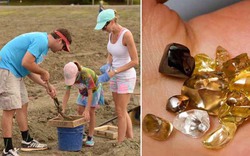 Bất ngờ du khách trở nên giàu có sau một đêm tìm thấy kim cương nâu 2,38 carat tại công viên