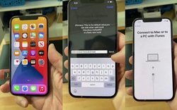 iPhone lock mất hút trên thị trường, người dùng Việt quay lưng