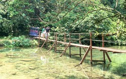 Vụ khu vui chơi giải trí không phép giữa rừng phòng hộ ở Quảng Bình: Chính quyền xã, chủ rừng nhận trách nhiệm