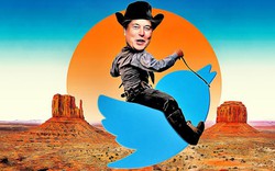 Đây là suy nghĩ của một cựu giám đốc kỹ thuật Twitter về kế hoạch của Elon Musk