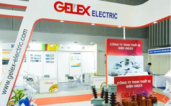GELEX ELECTRIC (GEE): Lãi ròng tăng 62% đạt hơn 273 tỷ đồng dù doanh thu giảm mạnh