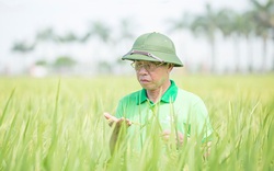 CEO ThaiBinh Seed Trần Mạnh Báo: Nghị quyết 26 mang lại 3 thành tựu nổi bật nhất cho nông nghiệp, nông dân, nông thôn
