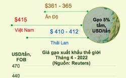 So kè gạo Việt Nam với các đối thủ cạnh tranh