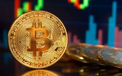 Thị trường tiền điện tử đỏ rực, giá Bitcoin thấp nhất 9 tháng
