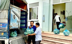 Hội Nông dân, Bưu điện tỉnh Tuyên Quang hỗ trợ nông dân tiêu thụ 10 tấn dưa chuột