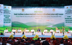 Tạo động lực phát triển nông nghiệp, nông dân, nông thôn từ Hội nghị Thủ tướng đối thoại với nông dân lần thứ 4