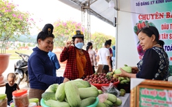 Festival trái cây: Cơ hội mở rộng thị trường tiêu thụ nông sản