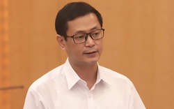 Giám đốc CDC Hà Nội Trương Quang Việt bị bắt, đối diện khung hình phạt nào?